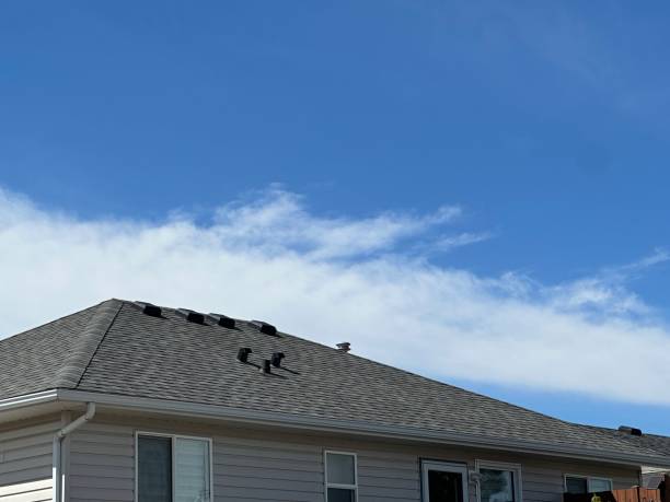 Best Roof Insulation Installation  in North Bennington, VT